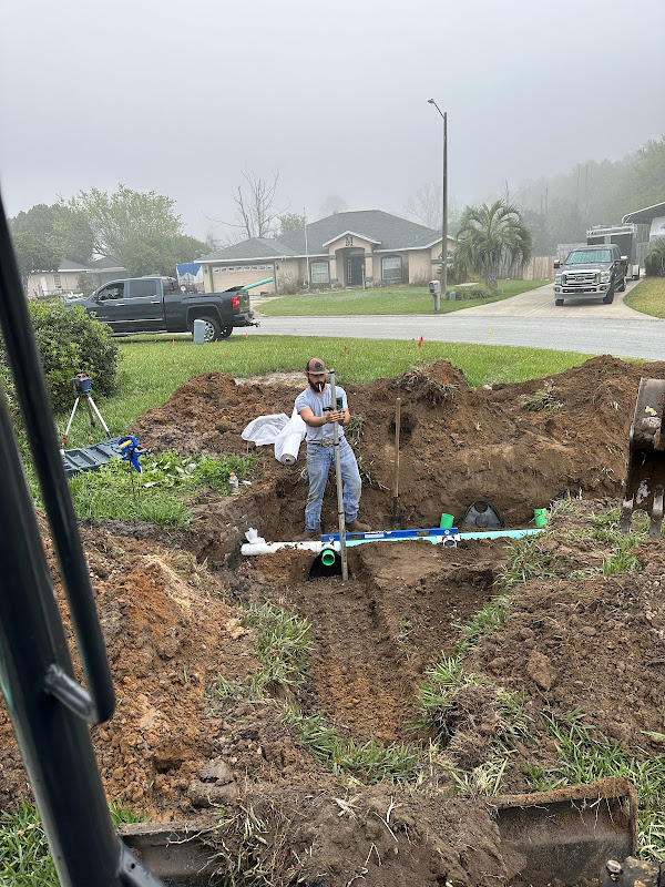 Lawn Restoration & Cleanup